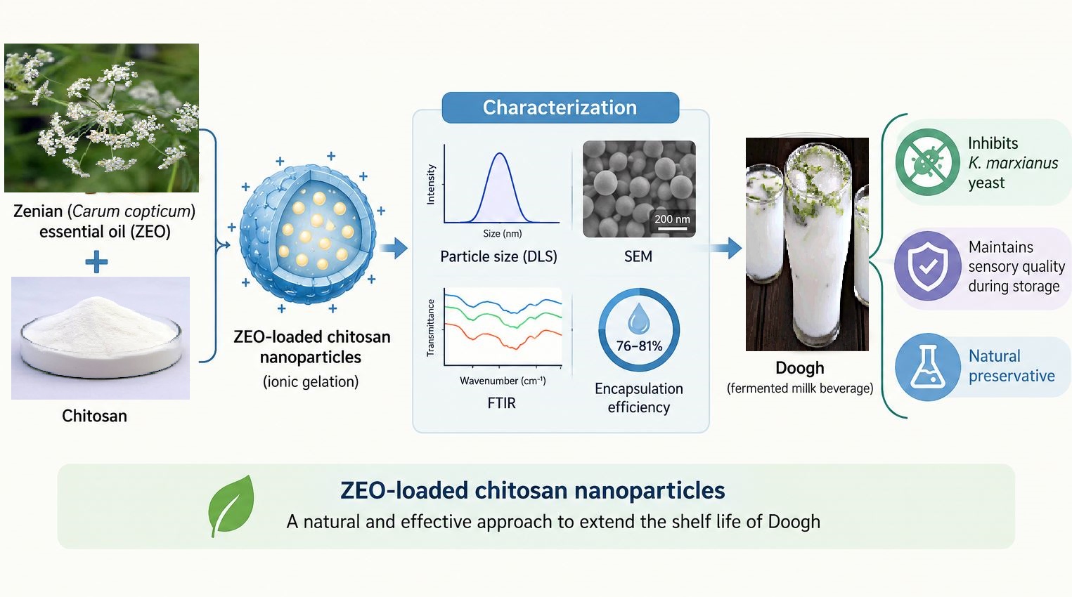 Chitosan Nanoencapsulation of Zenian (Carum copticum) Essential Oil for the Control of Kluyveromyces marxianus Spoilage in Doogh 