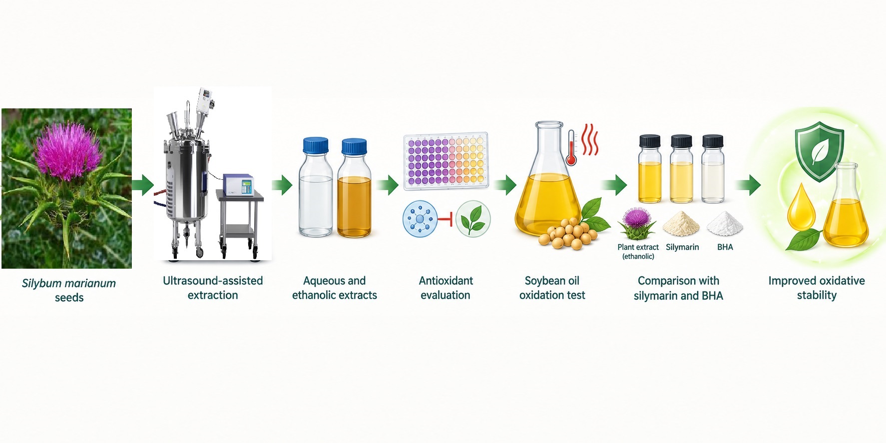 Comparative Antioxidant and Protective Effects of Ultrasound-Assisted Ethanolic and Aqueous Extracts of Silybum marianum Seeds versus Silymarin Against Heat-Induced Oxidation in Soybean Oil 