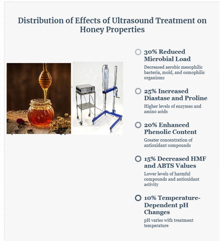 Effects of Ultrasound Treatment on the Physicochemical, Biochemical, Antioxidant, and Microbiological Properties of Natural Iranian Honey During Storage 