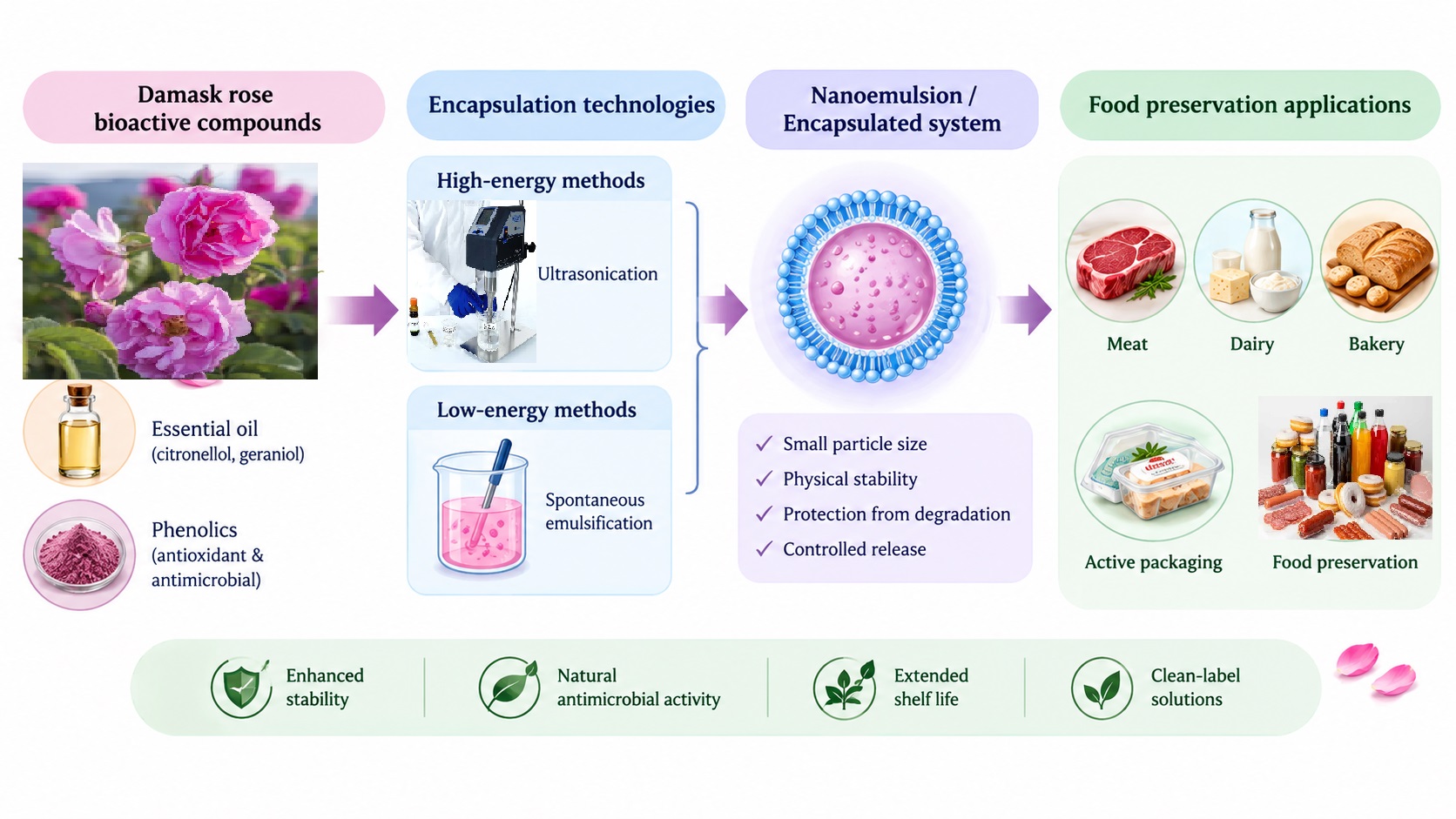 Unlocking the Potential of Damask Rose (Rosa damascena) in Food Preservation: A Review of Encapsulation Technologies and Advanced Applications 