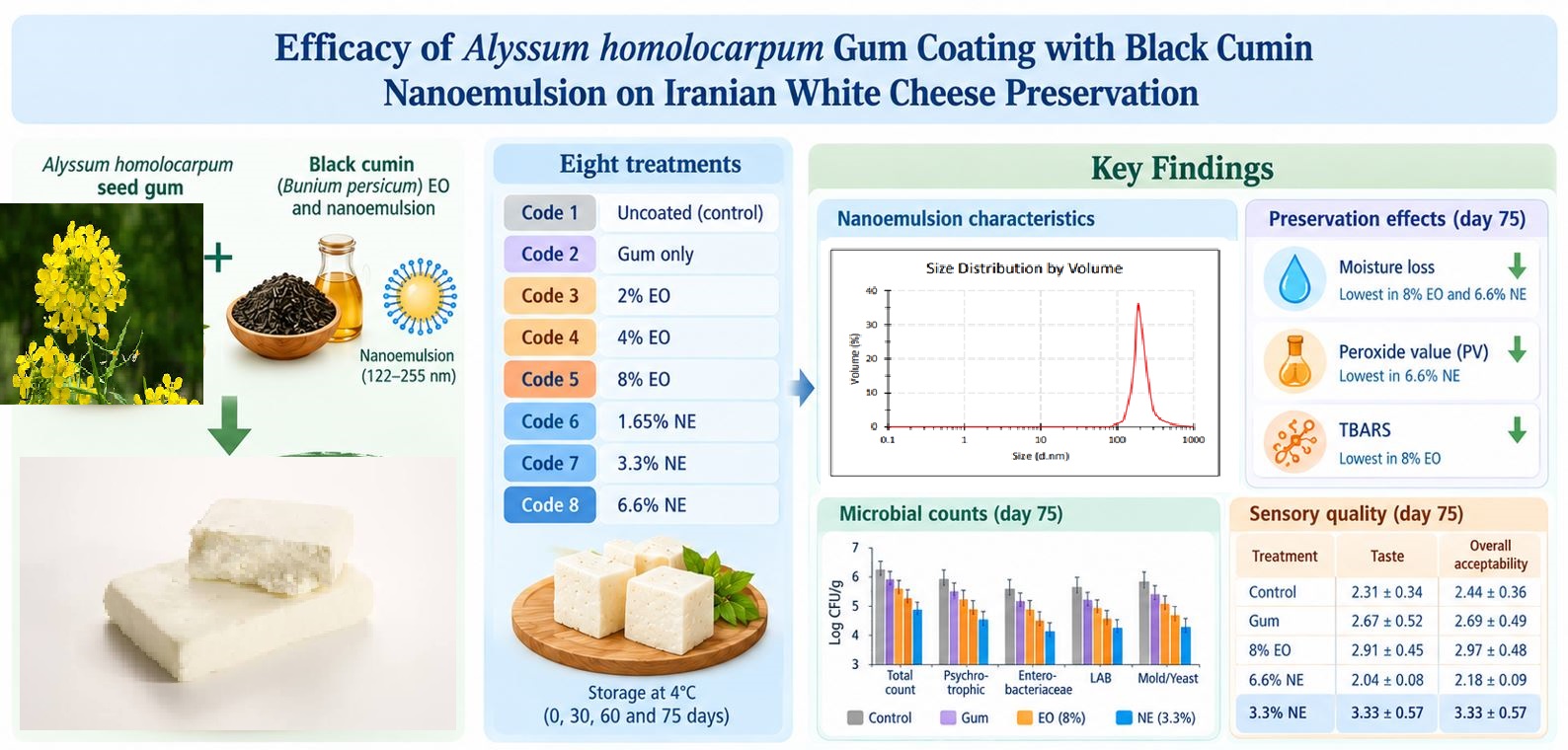 Efficacy of Alyssum homolocarpum Gum Coating with Black Cumin Nanoemulsion on Iranian White Cheese Preservation 