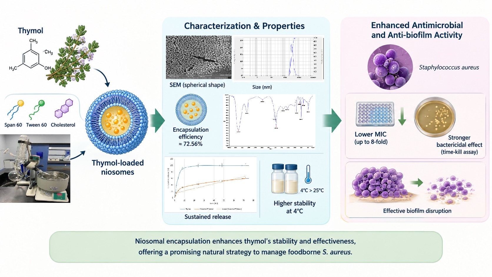 Antimicrobial and Anti-Biofilm Efficacy of Thymol-Loaded Niosomes Against Foodborne Staphylococcus aureus 